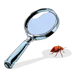 Behöver hjälp med identifiering